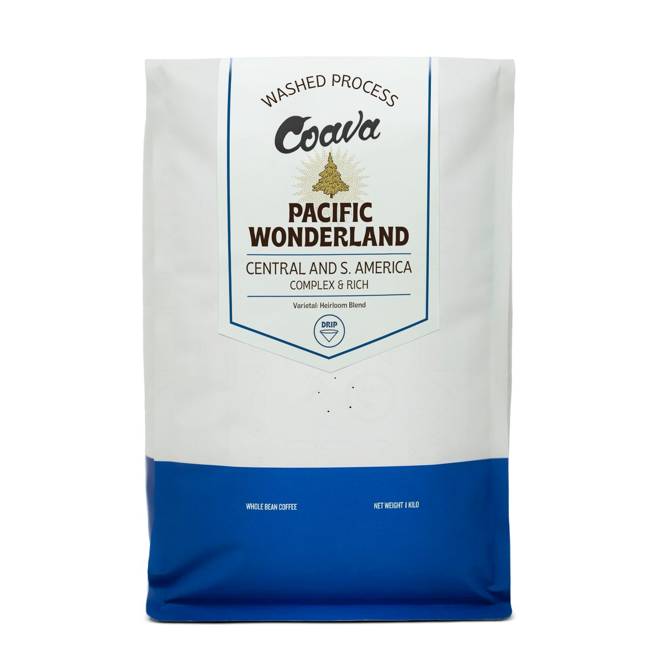 コロンビア産　クァドリツベルクラトゥスゴカクコカブト　34mm Pacific Wonderland – Coava Coffee Roasters