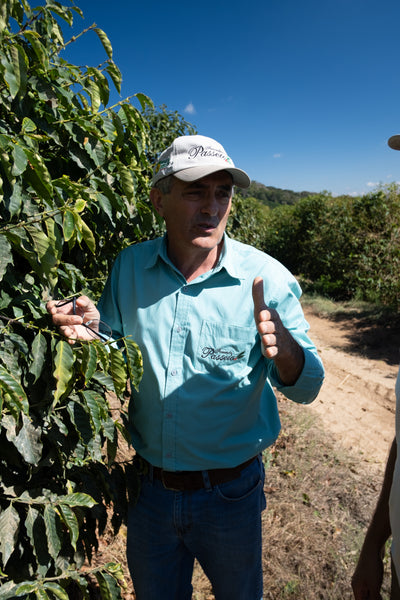 Photo of Tester Coffee MINAS GERAIS REGION, BRAZIL Pulped Natural Process Yellow Bourbon Varietal